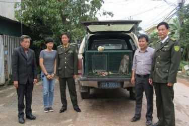 Người dân tự nguyện chuyển giao động vật hoang dã quý hiếm để cứu hộ